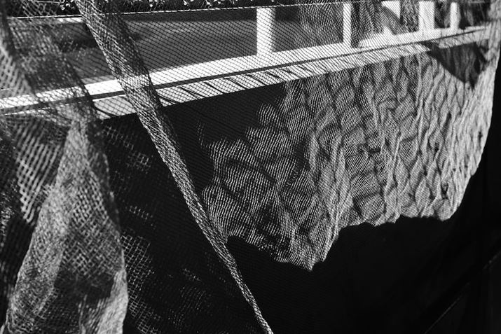 K-3 Mark III MonochromeAHD PENTAX-DA 40mmF2.8 LimitedA40mmi35mmZ61mmjAISO3200AF6.3A1/800bAJX^C[WFn[hAfW^tB^[F󊴃mN[i3jAnCCg␳FIAVh[␳FI[gAJPEGBeʐ^i6192×4128A16.3MBj