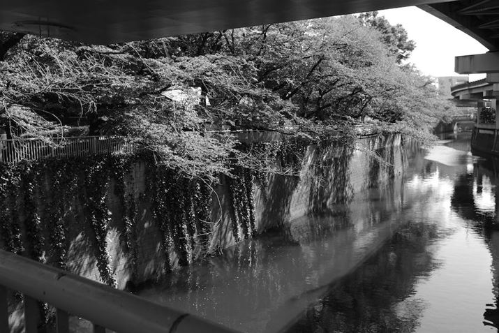 K-3 Mark III MonochromeAHD PENTAX-DA 21mmF3.2AL LimitedA21mmi35mmZ32mmjAISO200AF5A1/320bAJX^C[WFX^_[hAfW^tB^[F󊴃mN[i3jAnCCg␳FItAVh[␳FI[gAJPEGBeʐ^i6192×4128A16.6MBj