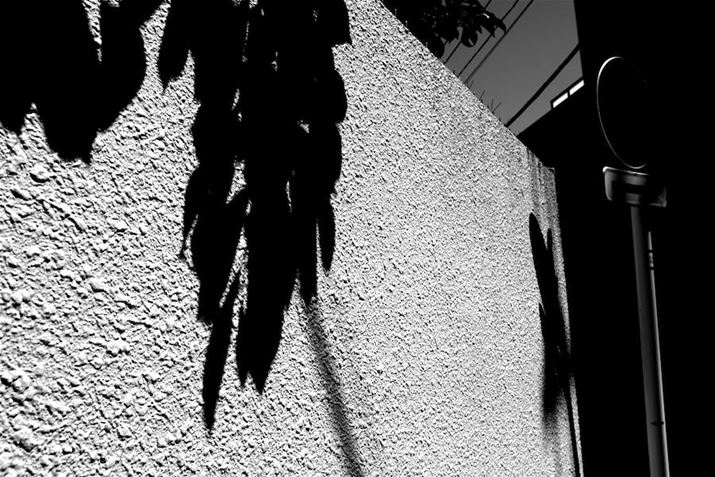 K-3 Mark III MonochromeAHD PENTAX-DA 20-40mmF2.8-4ED Limited DC WRA20mmi35mmZ30mmjAISO1600AF8A1/5000bAJX^C[WFX^_[hAfW^tB^[FnCRgXgi2jAnCCg␳FItAVh[␳FI[gAJPEGBeʐ^i6192×4128A11.9MBj