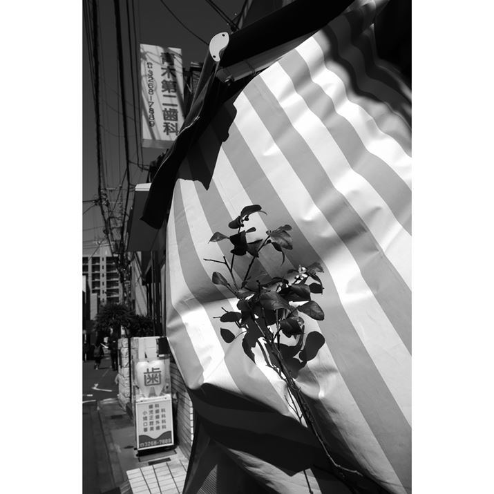 K-3 Mark III MonochromeAHD PENTAX-DA 20-40mmF2.8-4ED Limited DC WRA20mmi35mmZ30mmjAISO200AF6.3A1/1600bAJX^C[WFn[hAfW^tB^[F󊴃mN[i3jAnCCg␳FItAVh[␳FI[gAJPEGBeʐ^i4128×6192A15.9MBj