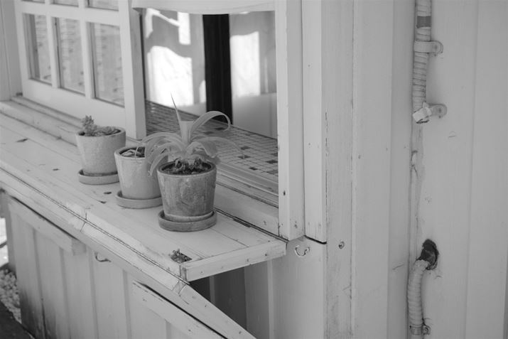 K-3 Mark III MonochromeAHD PENTAX-DA 20-40mmF2.8-4ED Limited DC WRA40mmi35mmZ61mmjAISO200AF4A1/1250bAJX^C[WF\tgAfW^tB^[F󊴃mN[i3jAnCCg␳FItAVh[␳FI[gAJPEGBeʐ^i6192×4128A16.5MBj