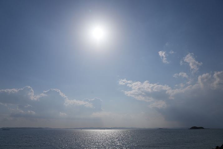 u7S IIIvœ̎ʐ^Be܂BISO100ł̎Beł7S IIIAFE 24-105mm F4 G OSSA24mmAISO100AF8A1/2000bAzCgoXFI[gANGCeBubNFSTBeʐ^i4240×2832A2.2MBj