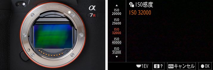 u7R Vv̗Lf͖6100fŁApōxISO32000ł