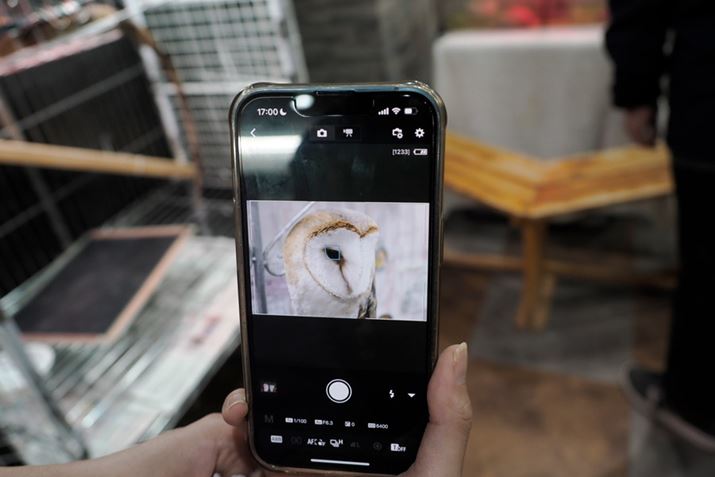 pAvuCamera Connectvg΁AX}[gtH烉Cur[Bes܂