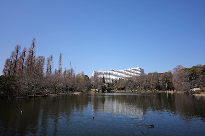 ̓]łꏊBeBœ_20mm̒LpȂ̂ŌiF̍L𐶂ĎB邱ƂłLUMIX S5IIA20mm F2 DG DNAF2A1/4000bAISO100AWBFVAtHgX^CFX^_[hBeʐ^i6000×4000A11.1MBj