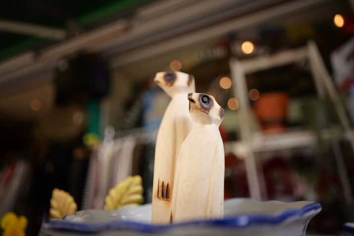 C^`̒uɂƊȂBesBwiɂ͂ȏiłāA{P邳Ȃ肻ȃV[A炩ȃ{PƔۃ{PꂽBłāAsgʂ̎Aɕ\ĂĂ̂LUMIX S5IIA20mm F2 DG DNAF2A1/320bAISO100AWBF܂AtHgX^CFX^_[hBeʐ^i6000×4000A7.3MBj