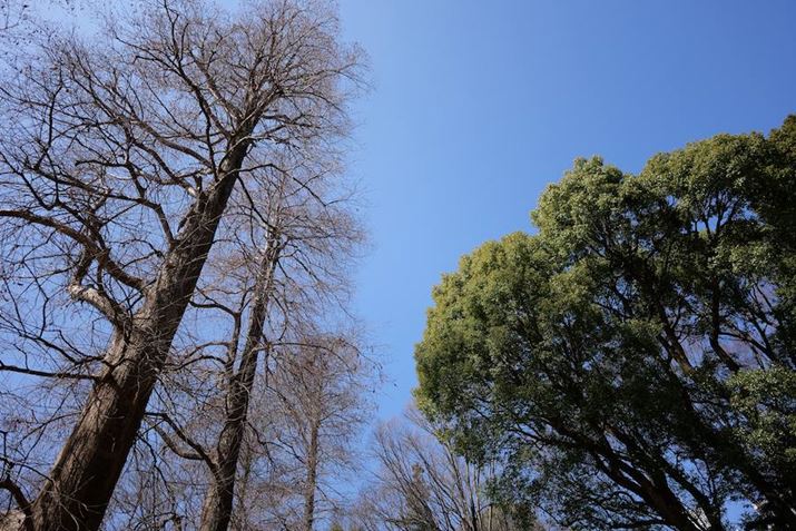 LUMIX S5IIA20mm F2 DG DNAF2A1/2000bAISO100AWBFVAtHgX^CFX^_[hBeʐ^i6000×4000A12.4MBj