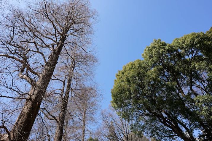 LUMIX S5IIA20mm F2 DG DNAF2.8A1/1000bAISO100AWBFVAtHgX^CFX^_[hBeʐ^i6000×4000A11.9MBj