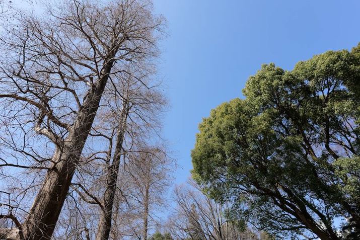 LUMIX S5IIA20mm F2 DG DNAF4A1/500bAISO100AWBFVAtHgX^CFX^_[hBeʐ^i6000×4000A12.4MBj