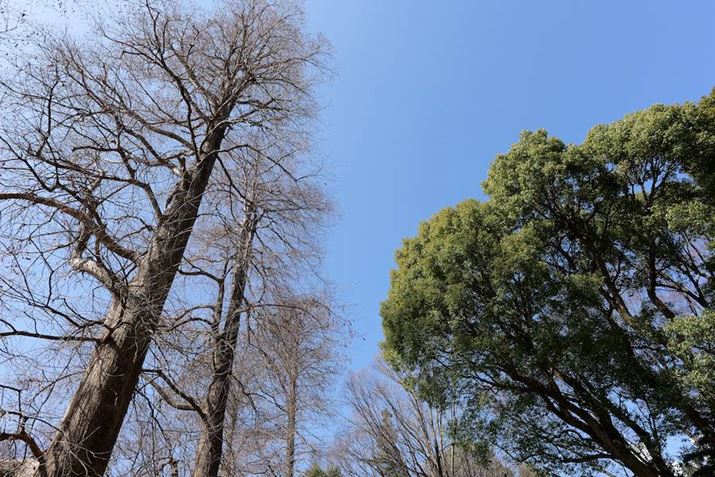 LUMIX S5IIA20mm F2 DG DNAF5.6A1/250bAISO100AWBFVAtHgX^CFX^_[hBeʐ^i6000×4000A12.4MBj