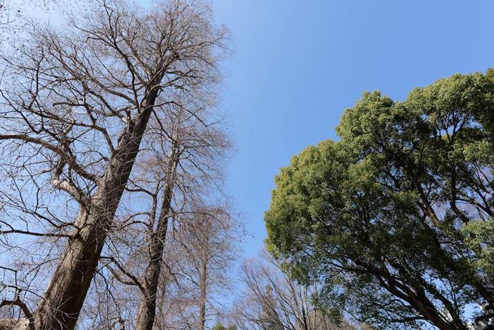 LUMIX S5IIA20mm F2 DG DNAF8A1/125bAISO100AWBFVAtHgX^CFX^_[hBeʐ^i6000×4000A12.2MBj