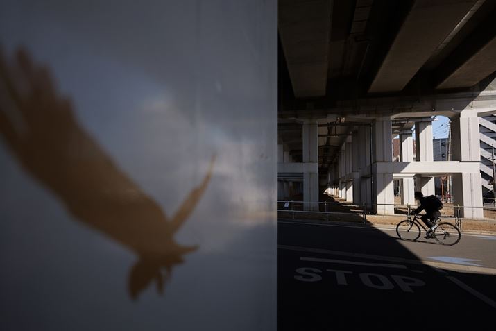 ̉eƌʔƎvĎBe悤ƎvAԂ傫󂢂Ă܂߁A̒ɏĂCXgO{PɂĎBesB邱ƂŁA]Ԃ𖄂߂邱ƂłAߊ܂Ĕ͂̂ʐ^ɂȂB\}߂ƂŁA]Ԃʂ肷̂҂ăVb^[؂LUMIX S5IIA20mm F2 DG DNAF2A1/2000bAISO100AWBFI[giEH[jAtHgX^CFX^_[hBeʐ^i6000×4000A7.8MBj