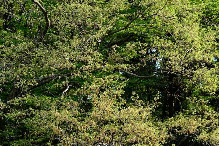 Lp[150mmōiJF5̕`ʂmFĂ݂܂X-H2A150-500mm F/5-6.7 Di III VC VXDA150mmi35mmZ225mmjAISO125AF5A1/170bAzCgoXFI[gAtBV~[VFVelvia/rrbhBeʐ^i7728×5152A24.9MBj