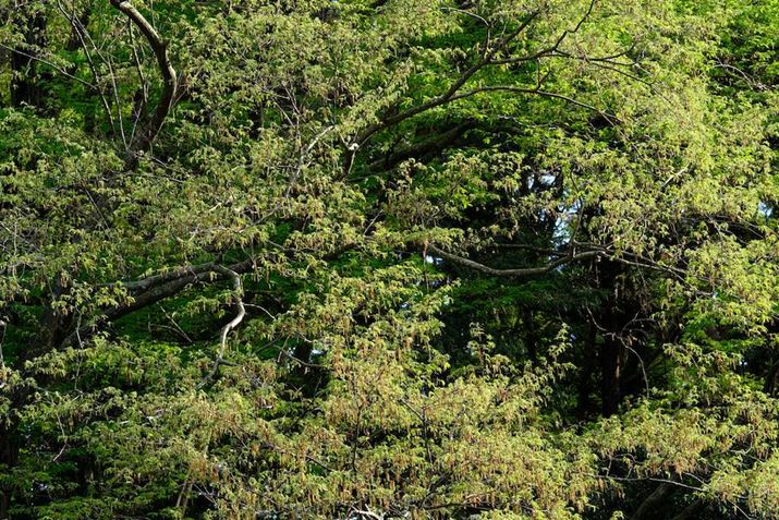 Lp[150mmōilF8̕`ʂmFĂ݂܂X-H2A150-500mm F/5-6.7 Di III VC VXDA150mmi35mmZ225mmjAISO125AF8A1/75bAzCgoXFI[gAtBV~[VFVelvia/rrbhBeʐ^i7728×5152A25.1MBj