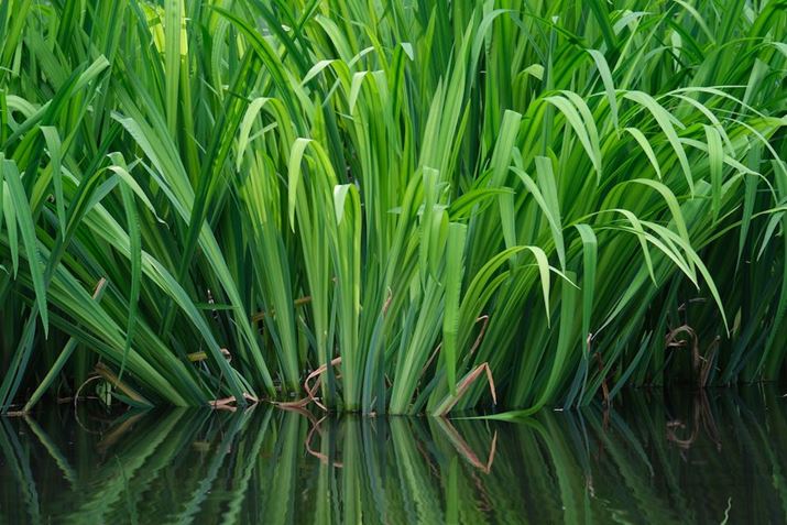 X-H2A150-500mm F/5-6.7 Di III VC VXDA500mmi35mmZ750mmjAISO125AF11A1/8.5bAzCgoXFI[gAtBV~[VFPROVIA/X^_[hBeʐ^i7728×5152A21.7MBj