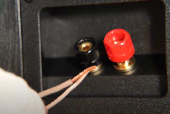 Xs[J[[q͊O̗ߋlWɂȂĂ̂ʓIłB܂͂ɂ߂܂傤BlWɂ߂ƁA[q̐c̕Ɍ󂢂Ă͂łB㉺ɊђʂĂ邱Ƃ̂łAł͂ꂢȔẑ߂ɁAXs[J[P[uʂ܂BʂÂ炢ꍇ͎܂^IȂǂgēĂ܂傤