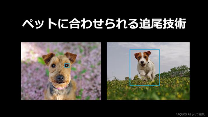 I[gtH[JXybgiALj̔FɑΉBybg̃VGbg⓵Ƀsg킹s悤ɂȂ