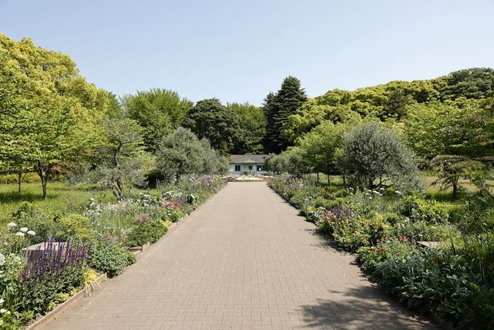 EOS R5ARF24-105mm F4 L IS USMA24mmAF8A1/200bAISO100AzCgoXFziG4jAsN`[X^CFfBe[dBeʐ^i8192×5464A27.3MBj