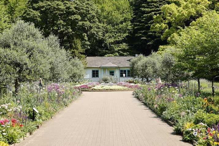 EOS R5ARF24-105mm F4 L IS USMA70mmAF8A1/125bAISO100AzCgoXFziG4jAsN`[X^CFfBe[dBeʐ^i8192×5464A31.8MBj