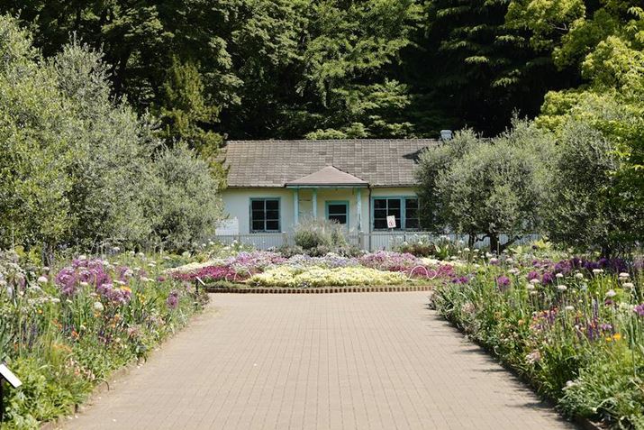 EOS R5ARF24-105mm F4 L IS USMA105mmAF8A1/160bAISO100AzCgoXFziG4jAsN`[X^CFfBe[dBeʐ^i8192×5464A26.5MBj