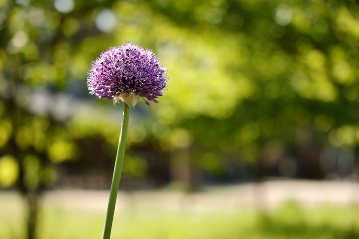 EOS R5ARF24-70mm F2.8 L IS USMA70mmAF2.8A1/500bAISO100AzCgoXFziG4jAsN`[X^CFfBe[dBeʐ^i8192×5464A10.8MBj