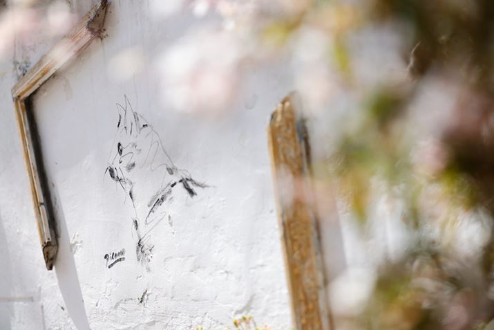 EOS R5ARF24-70mm F2.8 L IS USMA70mmAF2.8A1/800bAISO100AzCgoXFziB3AG3jAsN`[X^CFfBe[dBeʐ^i8192×5464A10.9MBj