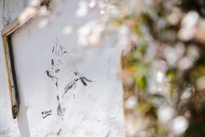 EOS R5ARF24-105mm F4 L IS USMA105mmAF4A1/400bAISO100AzCgoXFziB3AG3jAsN`[X^CFfBe[dBeʐ^i8192×5464A12.1MBj