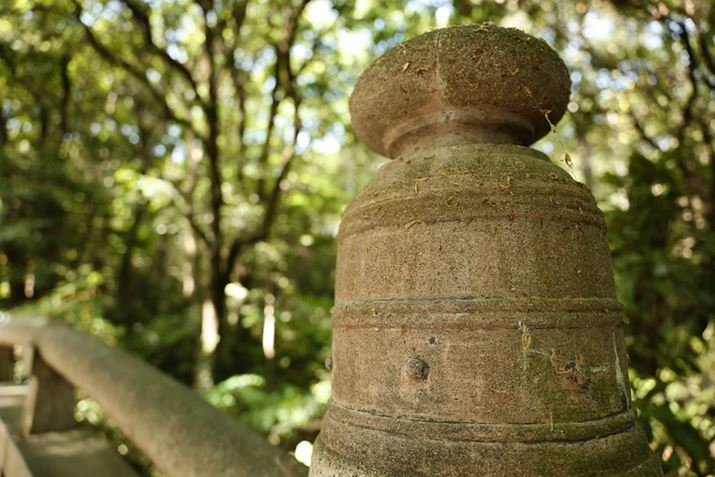 uRF24-70mm F2.8 L IS USMvŎBeBʑ̂ɂƋ߂ÂAiJF2.8Ŕwi{JB_Ȕwi{PƉߊ̑gݍ킹́uRF24-105mm F4 L IS USMvł͉oɂEOS R5ARF24-70mm F2.8 L IS USMA70mmAF2.8A1/100bAISO400AzCgoXFziG4jAsN`[X^CFfBe[dBeʐ^i8192×5464A18.1MBj