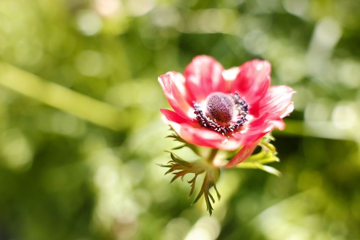 EOS R5ARF24-70mm F2.8 L IS USMA32mmAF2.8A1/400bAISO100AzCgoXFziG4jAsN`[X^CFfBe[dBeʐ^i8192×5464A11.7MBj