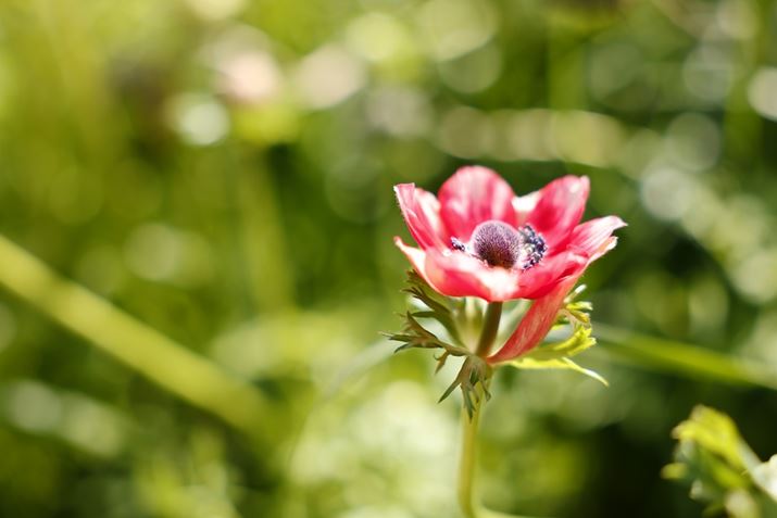 EOS R5ARF24-70mm F2.8 L IS USMA70mmAF2.8A1/500bAISO100AzCgoXFziG4jAsN`[X^CFfBe[dBeʐ^i8192×5464A11.5MBj