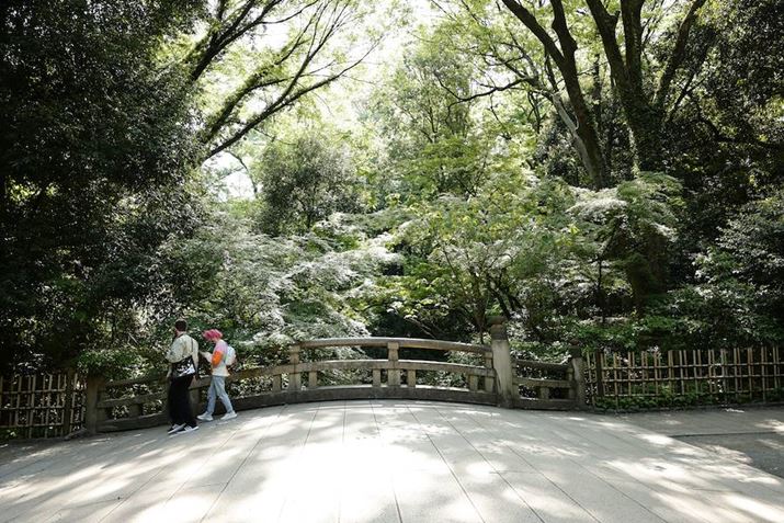 EOS R5ARF24-70mm F2.8 L IS USMA24mmAF2.8A1/400bAISO400AzCgoXFziG4jAsN`[X^CFfBe[dBeʐ^i8192×5464A29.8MBj