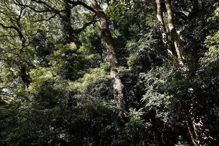 EOS R5ARF24-70mm F2.8 L IS USMA24mmAF8A1/30bAISO100AzCgoXFziG4jAsN`[X^CFfBe[dBeʐ^i8192×5464A29.4MBj