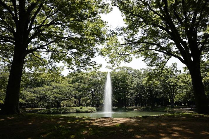 EOS R5ARF24-70mm F2.8 L IS USMA24mmAF2.8A1/1600bAISO100AzCgoXFziG4jAsN`[X^CFfBe[dBeʐ^i8192×5464A24.8MBj