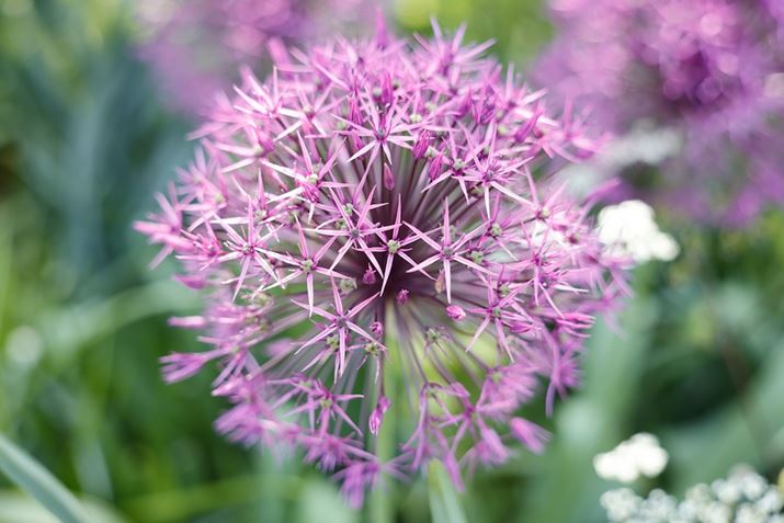 EOS R5ARF24-70mm F2.8 L IS USMA48mmAF2.8A1/100bAISO100AzCgoXFziG4jAsN`[X^CFfBe[dBeʐ^i8192×5464A12.9MBj