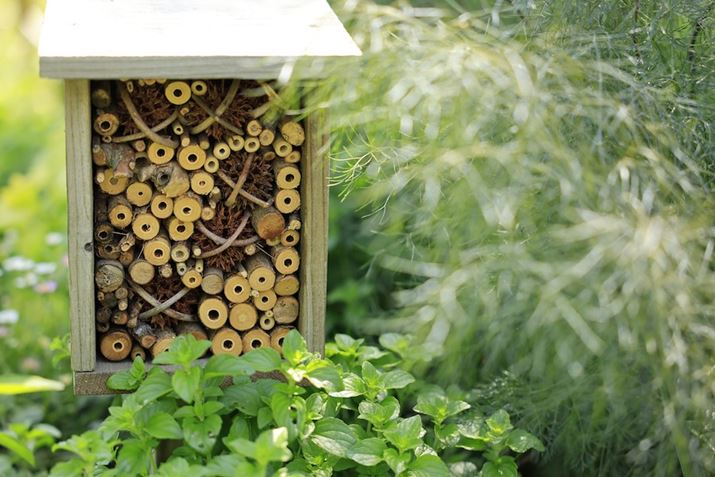 EOS R5ARF24-70mm F2.8 L IS USMA70mmAF2.8A1/250bAISO100AzCgoXFziG4jAsN`[X^CFiBeʐ^i8192×5464A13.4MBj