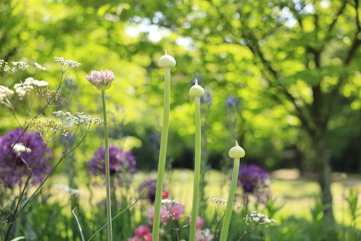 EOS R5ARF24-70mm F2.8 L IS USMA50mmAF2.8A1/400bISO100AzCgoXFziG4jAsN`[X^CFiBeʐ^i8192×5464A10.0MBj