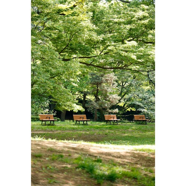 EOS R5ARF24-105mm F4 L IS USMA105mmAF4A1/320bAISO400AzCgoXFziG4jAsN`[X^CFfBe[dBeʐ^i5464×8192A25.3MBj