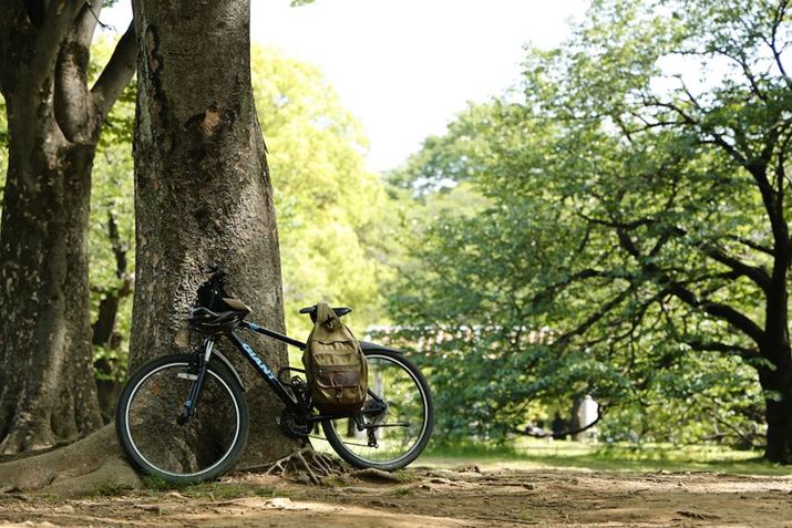 EOS R5ARF24-105mm F4 L IS USMA105mmAF4A1/640bAISO400AzCgoXFziG4jAsN`[X^CFfBe[dBeʐ^i8192×5464A17.9MBj