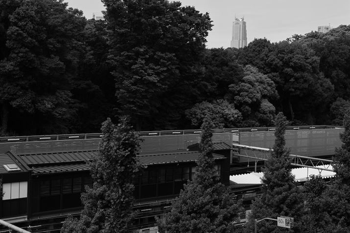 EOS R5ARF24-105mm F4 L IS USMA61mmAF16A1/400bAISO400AzCgoXFziB3AGRjAsN`[X^CFmNBeʐ^i8192×5464A13.2MBj