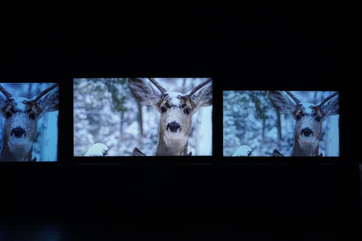 Îŉ掿`FbNBu65UXv̉ʂ̖邳ˏoĂ邱Ƃ킩肢邾낤