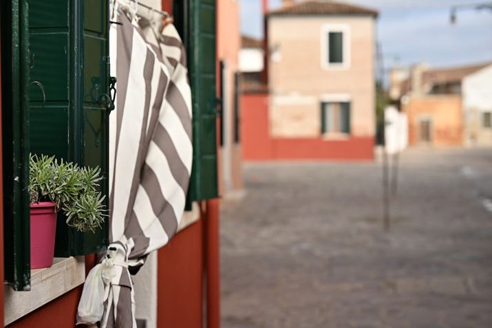 ۂɏĂABeBsgʒuƂƂĂ̊BȂĂ܂ȔwỉƂȂǂRɃ{PĂĂZ 9ANIKKOR Z 85mm f/1.2 SAF3.5A1/500bAISO64AWBFܓVAsN`[Rg[FX^_[hAANeBuD-CeBOFWABlbgRg[FȂA䂪ݕ␳FAܕ␳FAxmCYጸFWAJPEGiTviŎBejBeʐ^i8256×5504A15.6MBj