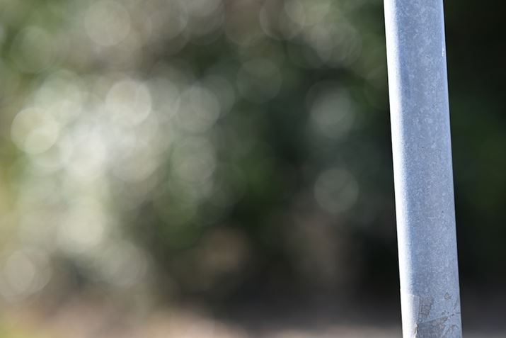 aYŃ{P^~ɋ߂ÂȂ班iƂ悢B{Y̏ꍇAM҂̈ۂłF2.0܂ōiƂȂ^~ɋ߂ȂۂZ 9ANIKKOR Z 85mm f/1.2 SAF2A1/640bAISO64AWBFVAsN`[Rg[FX^_[hAANeBuD-CeBOFȂABlbgRg[FWA䂪ݕ␳FAܕ␳FAxmCYጸFWAJPEGBeʐ^i8256×5504A14.7MBj