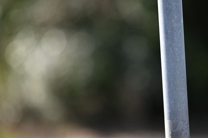 F1.2ŎBêA{P傫ʁAaH̉e󂯂ĂZ 9ANIKKOR Z 85mm f/1.2 SAF1.2A1/2000bAISO64AWBFVAsN`[Rg[FX^_[hAANeBuD-CeBOFȂABlbgRg[FWA䂪ݕ␳FAܕ␳FAxmCYጸFWAJPEGBeʐ^i8256×5504A14.7MBj