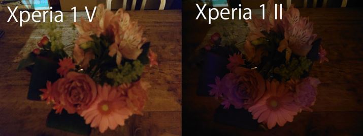 uXperia 1 VvŁAEuXperia 1 IIvBX킸ɍވÂŎBeBuXperia 1 Vvł͎ŃiCg[hɐ؂ւABeĂ͔̂FłB΂uXperia 1 IIv͐\̌E𒴂Ă悤ŁAԂڂƎʂ邾iBeʐ^FXperia 1 VAXperia 1 IIj