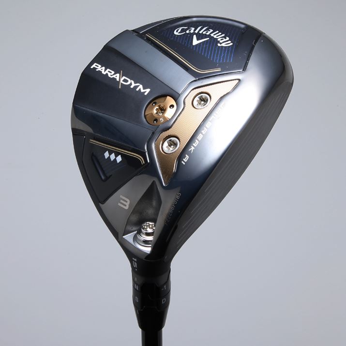 fUC͑SV[YʁB\[OɓڂXN[EFCgƁAq[3񂾃_C̃}[Nʃ|Cgł