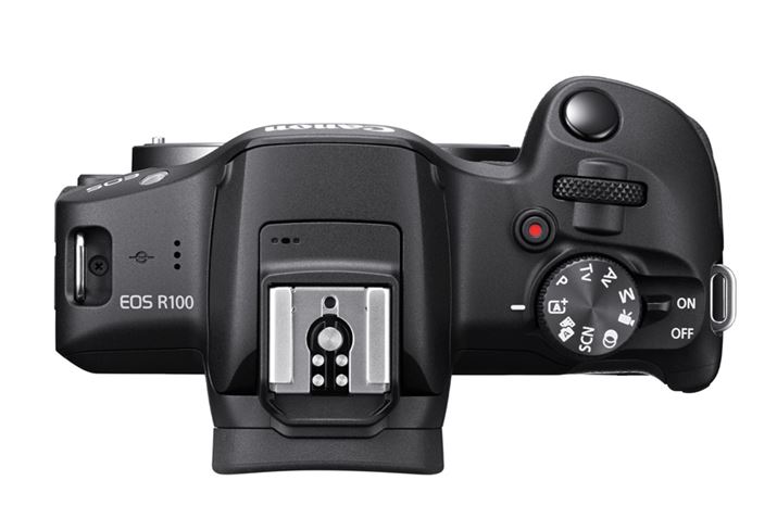 {fBʁBANZT[V[͋^Cv5s