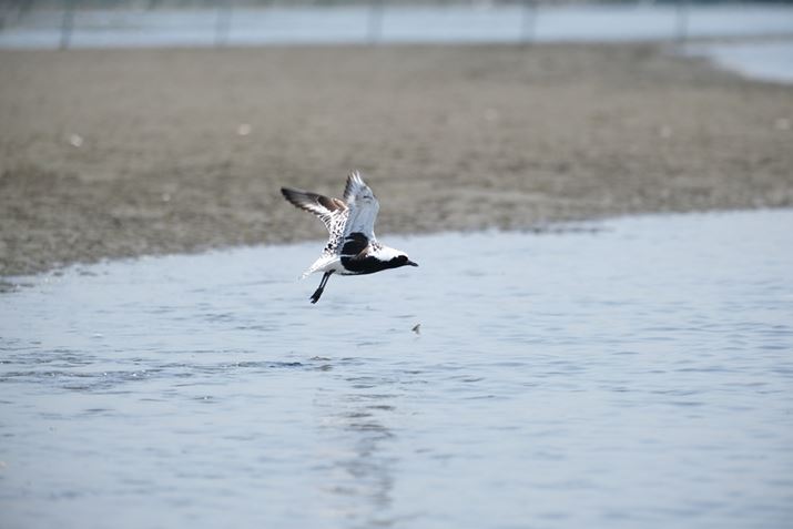 uX-S20v̔ʑ̌ȏΏۂ𒹂ɂĎBe܂X-S20AXF70-300mmF4-5.6 R LM OIS WRA300mmi35mmZ457mmjAISO500AF5.6A1/1600bAzCgoXFI[gi͋CDjAtBV~[VFPROVIA/X^_[hBeʐ^i6240×4160A10.5MBj