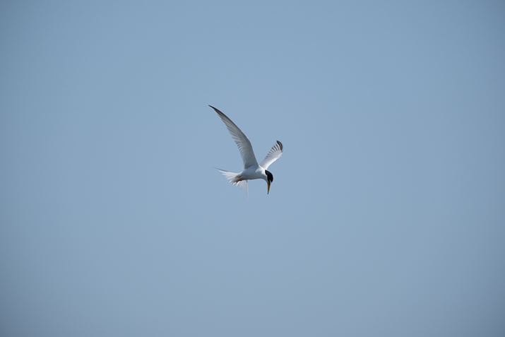 uX-S20vŎBeʐ^łX-S20AXF70-300mmF4-5.6 R LM OIS WRAISO160AF5.6A1/1600bAzCgoXFI[gi͋CDjAtBV~[VFPROVIA/X^_[hBeʐ^i6240×4160A9.2MBj