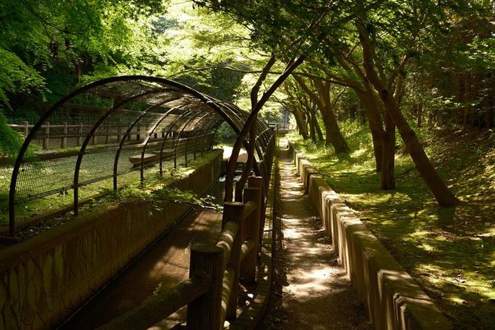 X-S20AXC15-45mmF3.5-5.6 OIS PZA26mmi35mmZ39mmjAISO800AF5.6A1/160bAzCgoXF6000KAtBV~[VFmX^WbNlKBeʐ^i6240×4160A15.8MBj