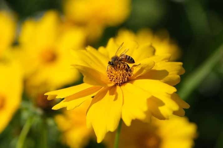 X-S20AXF16-80mmF4 R OIS WRA80mmi35mmZ122mmjAISO160AF4A1/1600bAzCgoXFI[gAtBV~[VFPROVIA/X^_[hBeʐ^i6240×4160A9.9MBj